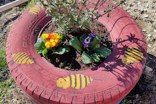 Some lovely flowers planted in the tyre gardens