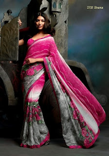 Saree-Designs-2013-14