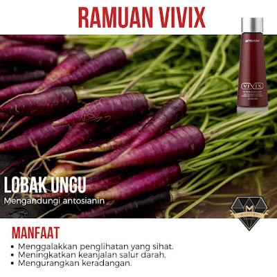 purple carrot ramuan vivix