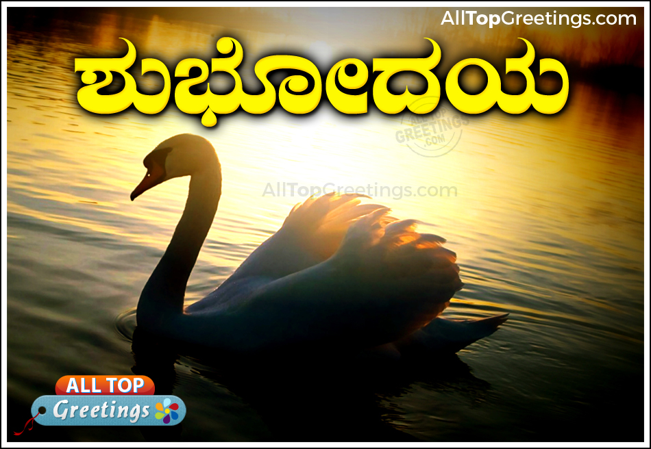 Kannada Good Morning Sms Images And Wallpapers 100 All Top