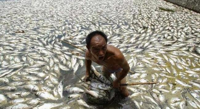 Foto: Pencemaran yang Teruk di China