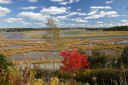 East Chezzetcook, N.S.