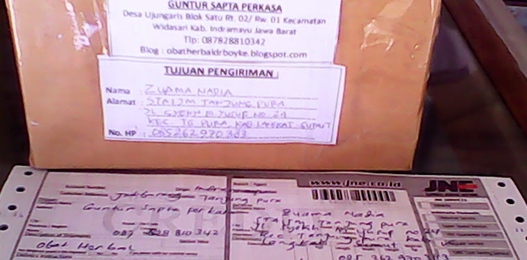 Order Ladyfem 4 Box Ke Langkat Sumatera Utara dan 1 Box GASA Ke Magelang 