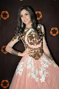Kanika Kapoor glamorous photos-thumbnail-9