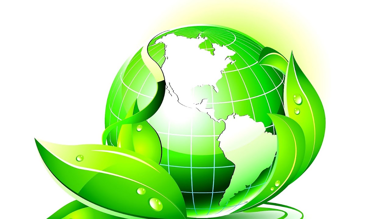 Pros And Cons Of Biomass Energy