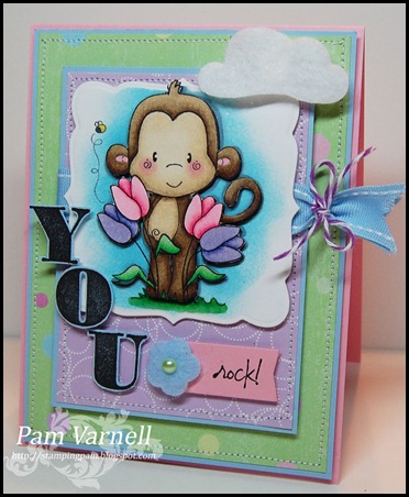 PamV-Preview-3.30.2011-larg