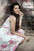 Nikki Galrani glamorous Portfolio-thumbnail-9