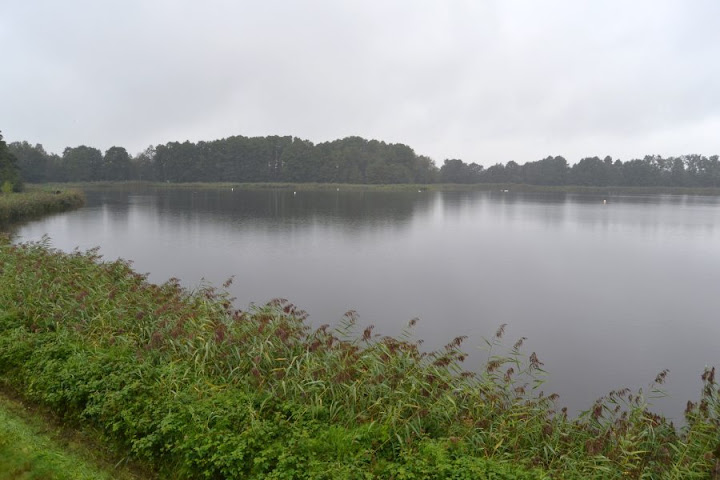 252520SchwaeneHuettensee