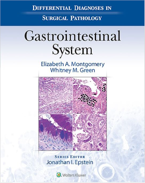 Gastrointestinal System