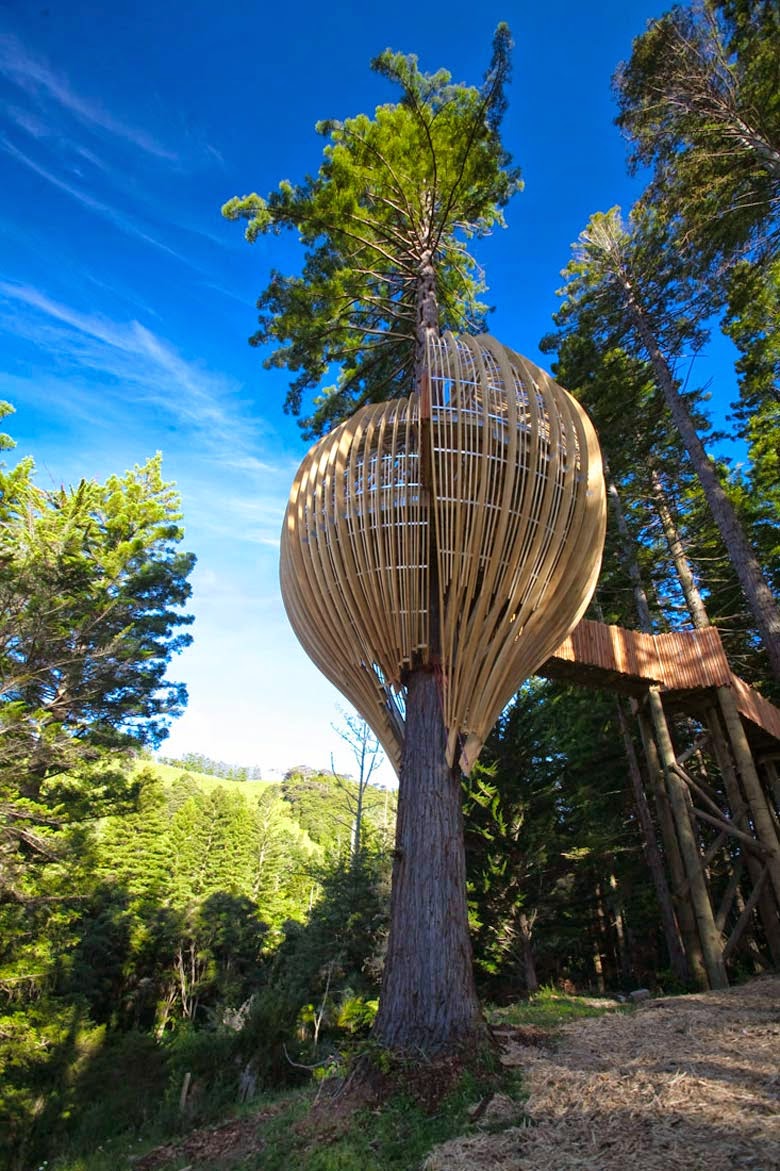 YELLOW TREEHOUSE RESTAURANT IN NEW ZEALAND - Top best holiday places in