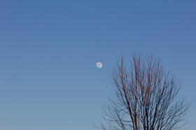 99% of January's Super Blue Moon