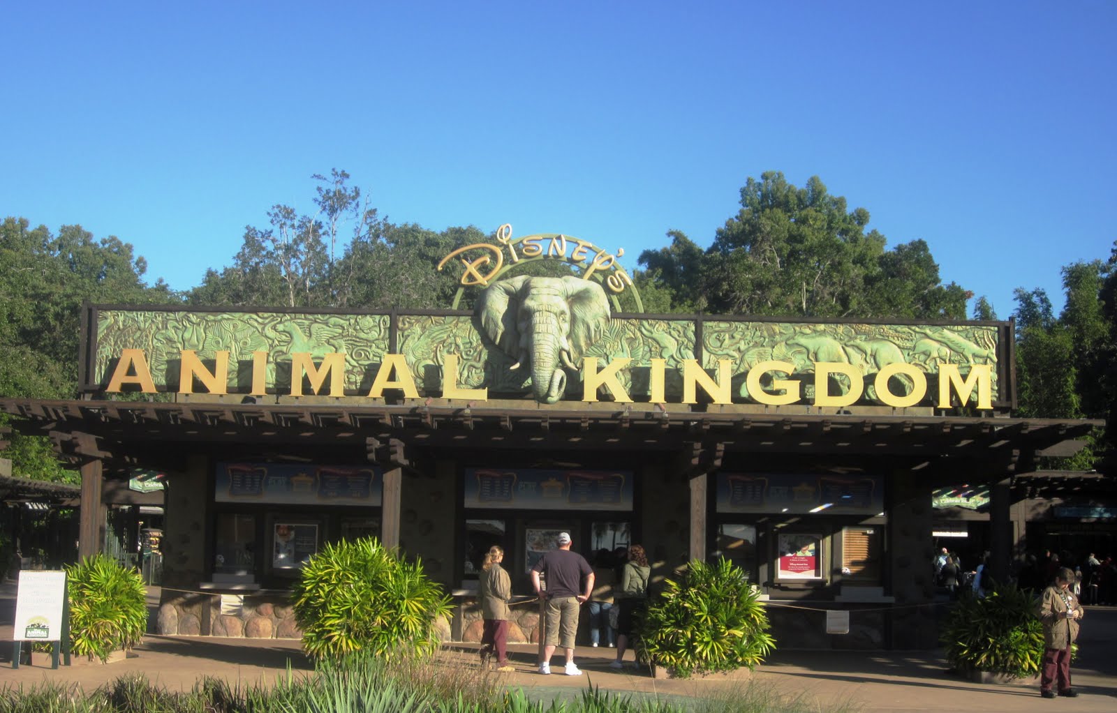 Indulge Inspire Imbibe: Disney39;s Animal Kingdom