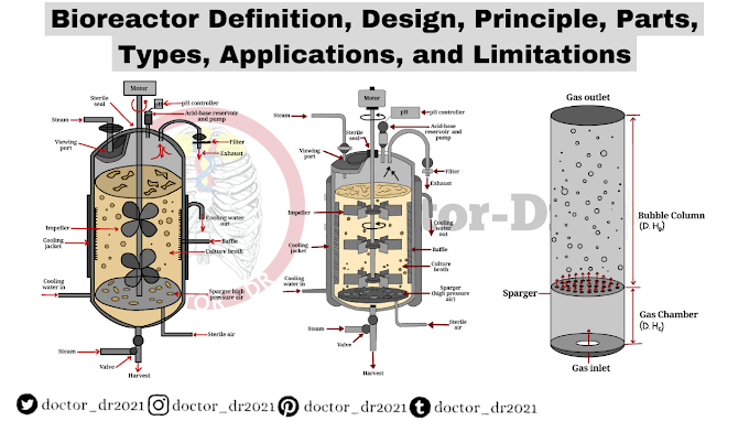 Bioreactor Definition, Design, Principle, Parts, Types, Applications, and Limitations
