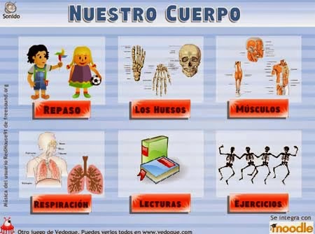 http://www.vedoque.com/juegos/juego.php?j=El-Cuerpo