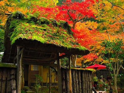 japanese garden wallpaper