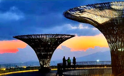 متنزه انتوتو الطبيعي - أديس أبابا أشهر مناطق جذب السياحة في اثيوبيا العرب المسافرون  Entoto Nature Park - Addis Ababa