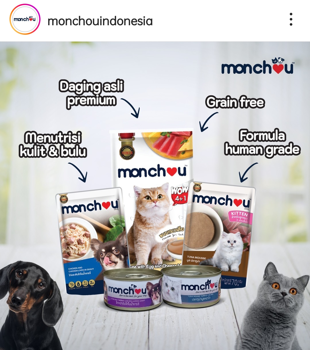 Makanan kucing premium