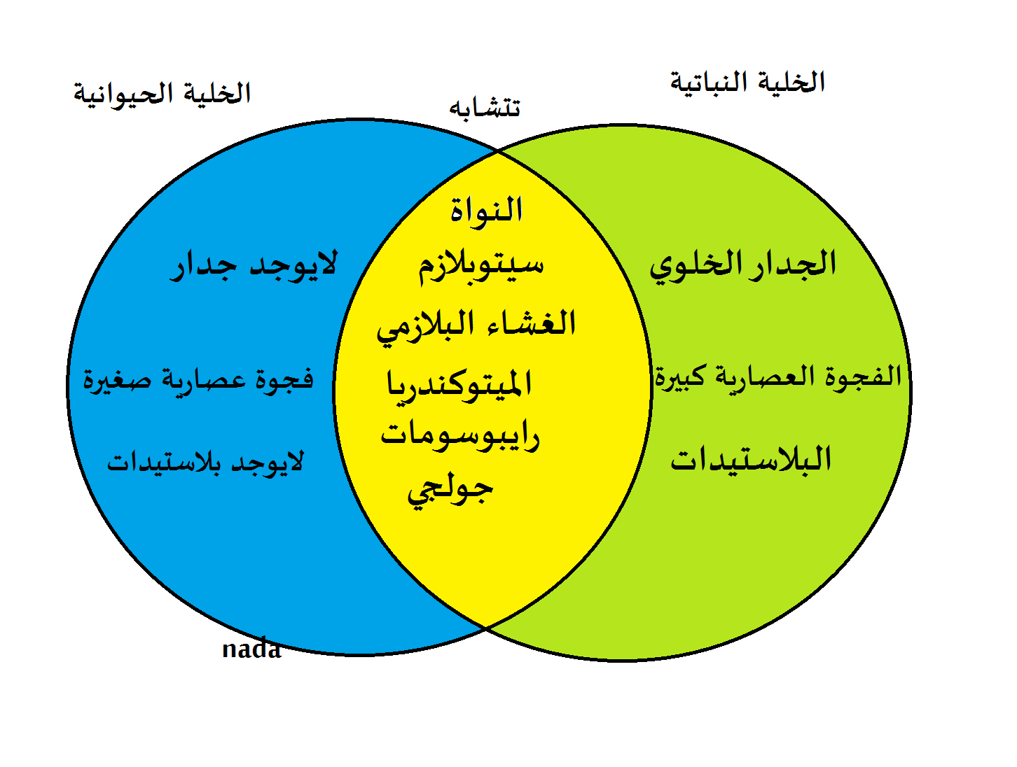 الخلية Mind42 Free Online Mind Mapping Software