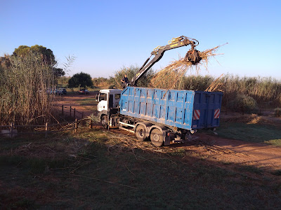 Camión grúa con un accesorio para poder enganchar todos los restos vegetales procedentes de las labores de poda y desbroce.