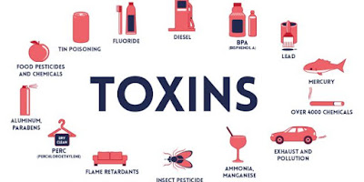 Warning Signs Liver Is Full Toxins