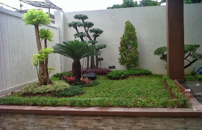 taman rumah minimalis dengan tanaman bonsai