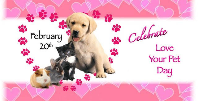 National Love Your Pet Day, February 20th