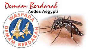 Inspirasi Penting Gambar Nyamuk Dbd, Inspirasi Terkini!