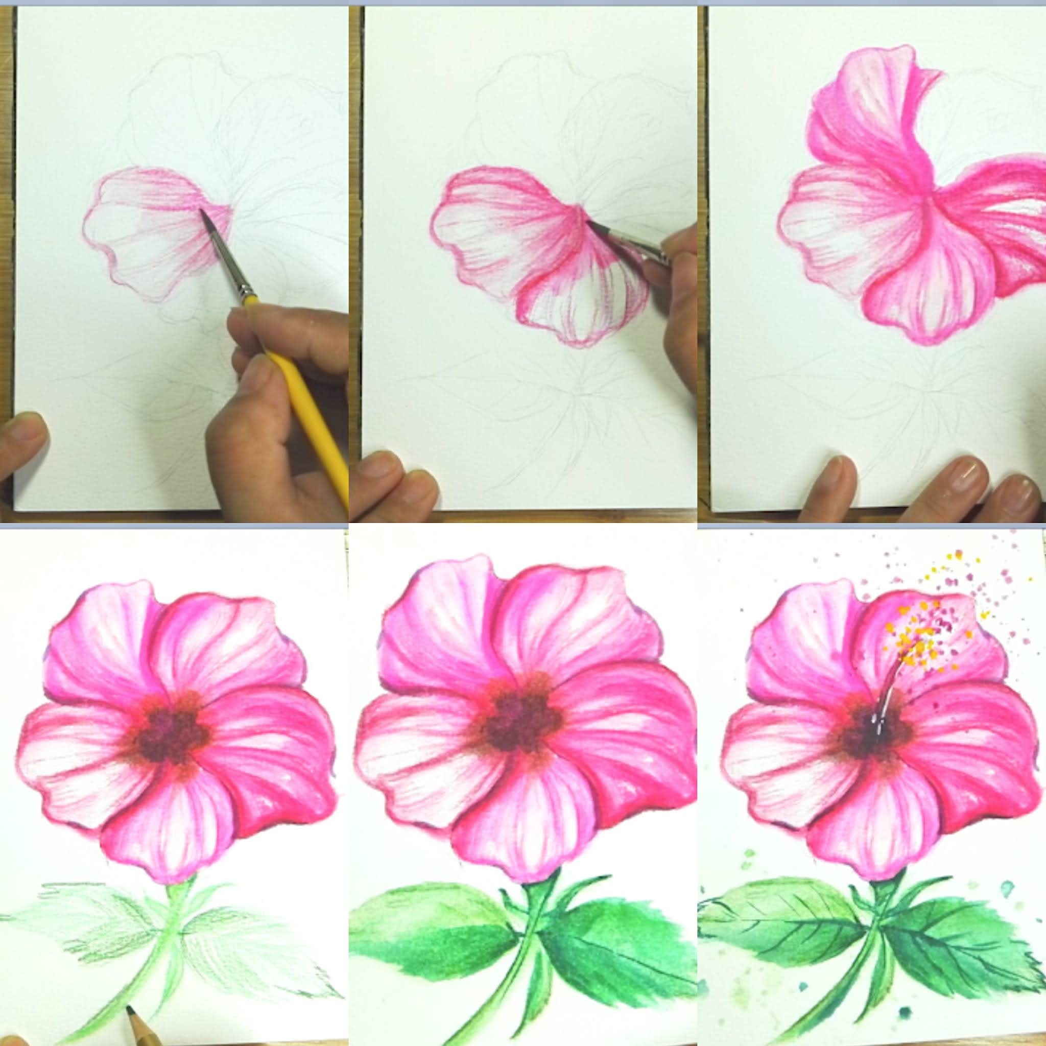 How to draw Watercolor and Water-soluble color pencil Hibiscus flower step by step tutorial for beginner