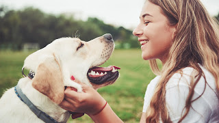 ¿Por qué los perros nos hacen felices?