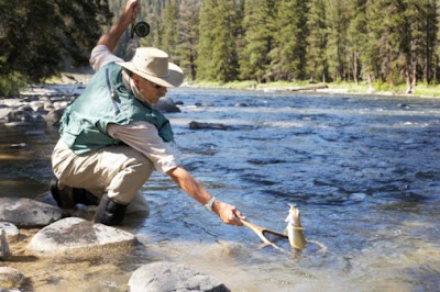 Michigan DNR Highlights Trout Fishing Opportunities at State Forest Campgrounds, State Parks