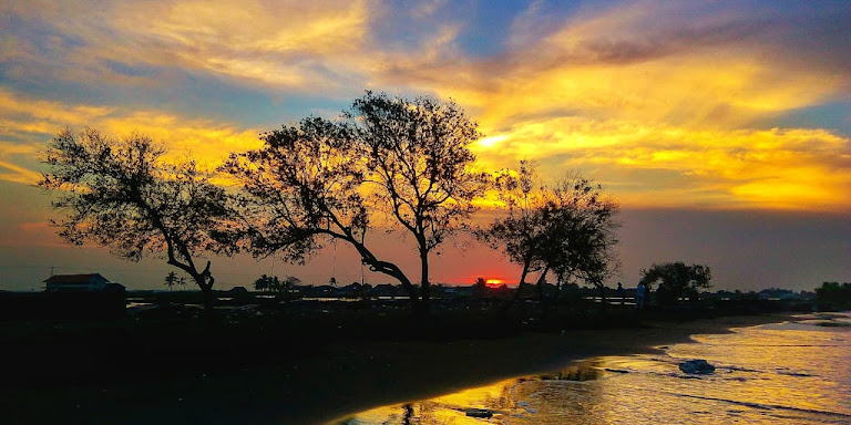 Cara edit foto menggunakan snapseed Cara edit foto menggunakan snapseed
