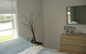 What a coat of paint can do!