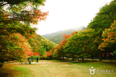 http://english.visitkorea.or.kr/enu/ATR/SI_EN_3_1_1_1.jsp?cid=264295