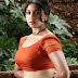 South Actress Hot Navel Show Stills