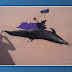 Golfinho é encontrado morto na praia de Busca Vida, em Camaçari