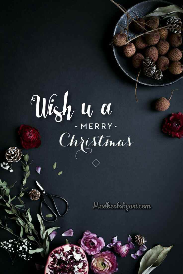 Wish u a merry christmas