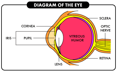 Labeled eye diagram