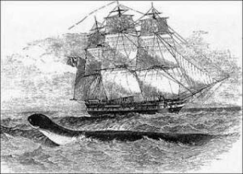 The Sea Monster Files