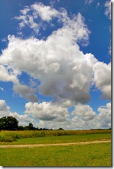 DSC_1290_edited