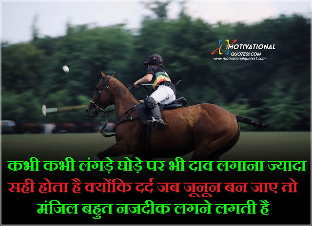 horse lover quotes in hindi, horse shayari, horse status in hindi, horse quotes in hindi, horse shayari in hindi, horse love quotes in hindi, horse lover shayari, shayari on horse, shayari horse, caption for horse lover in hindi, horse shayari hindi,Horse Quotes Images Hindi || हॉर्स कोट्स इमेजेस हिंदी