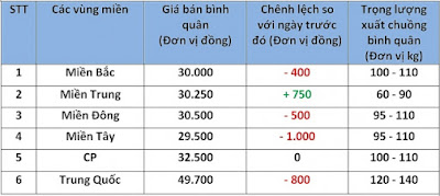 Giá heo hơi hôm nay (14/9) tăng tiếp ở miền Trung khi bão số 10 sắp đổ bộ