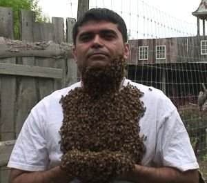 bee costume