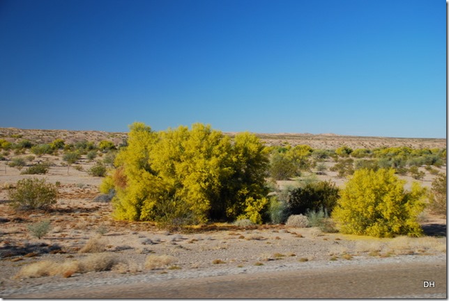 04-02-16 A Travel Earp CA to CG AZ (8)
