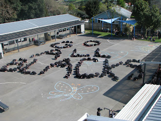 Our message to the All Blacks