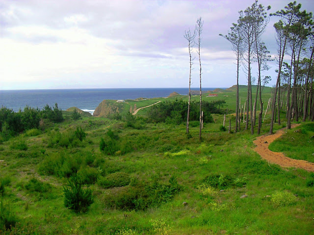 Sendero en Parque Natural Dunas de Liencres