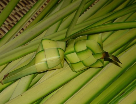 100 Manfaat Daun Kelapa Untuk Kehidupan Satu Butir