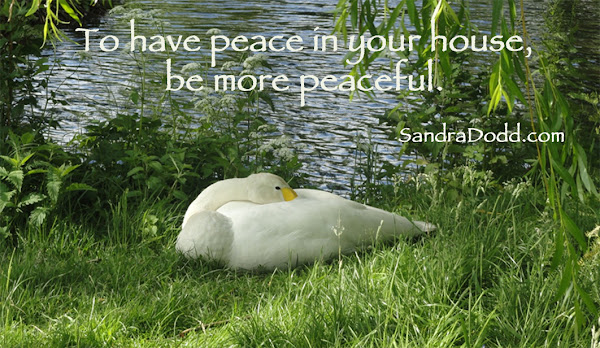 swan lying in grass near lake