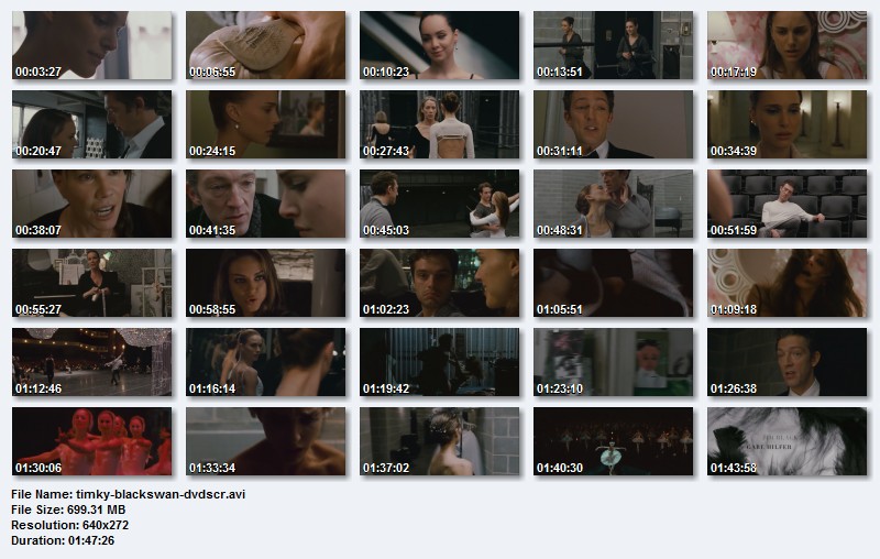 DL Black Swan 2010 DVDSCR XviD-TiMKY download on Hotfile Rapidshare