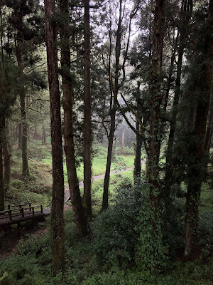 嘉義,阿里山,眠月線,沼平車站