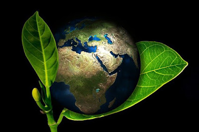 Climatic Change Preventive Measures to Save Earth